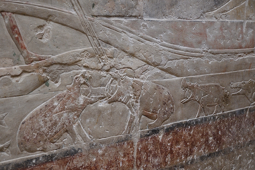 45 MAK_6921.jpg - I pachidermi, inferociti per il dolore, si rivolgono verso gli occupanti delle barche e ruggiscono, spalancando le fauci e mostrando le zanne affilate.